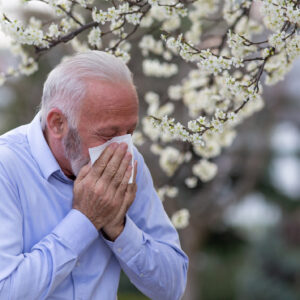 Old man with allergy symptoms sneezing into tissue. Senior suffering from hay fever coughing outside.